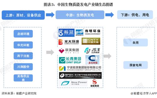 預見2023 中國生物質能發電行業全景圖譜與發展前景分析